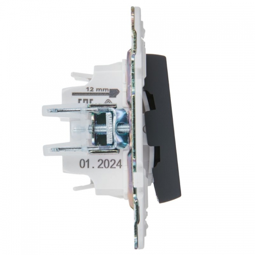 Выключатель 2-кл. SKANDY 10А SK-V09G с индикацией графит IEK SK-V20-1-10-K53 SK-V20-1-10-K53