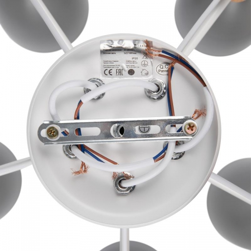 Светильник Delia 60Вт E27х5 IP20 потолочн. Freya FR5033CL-05W FR5033CL-05W