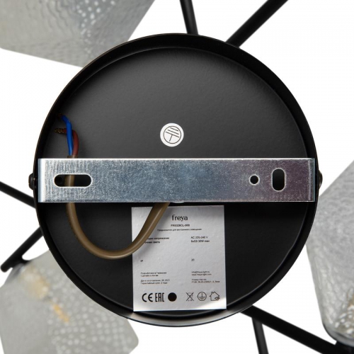 Светильник Floristic 30Вт G9х6 IP20 потолочн. Freya FR5328CL-06B FR5328CL-06B