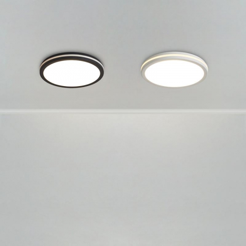 Светильник Rua 40Вт IP65 потолочн. Freya FR6160CL-L40B FR6160CL-L40B