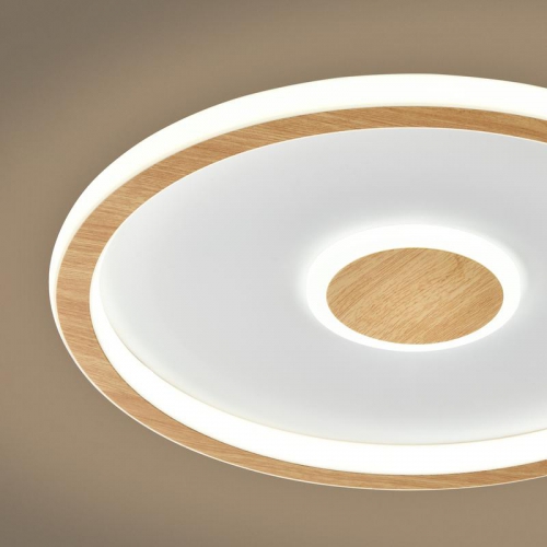 Светильник потолочный Orbit 80Вт 3000-6000К IP20 Freya FR5421CL-L80BG FR5421CL-L80BG