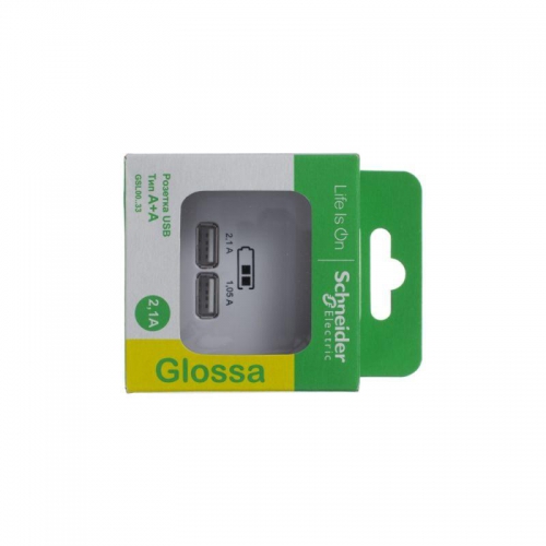 Розетка USB 2-м СП Glossa тип A+A 5В/2.1А 2х5В/1.05А механизм бел. SE GSL000133 GSL000133