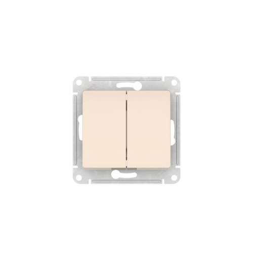 Выключатель 2-кл. Glossa (сх. 5) 10AX быстрозажим. клем. механизм беж. SE GSL000251S GSL000251S