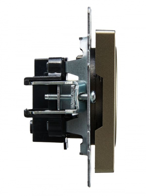 Розетка BRITE РС10-1-0-БрШ 10А без заземл. без защ. шторок шампань IEK BR-R10-10-K37 BR-R10-10-K37