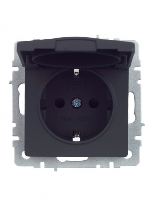 Розетка BRITE РСбш10-3-44-БрГ 16А IP44 с заземл. защ. шторки с крышкой графит IEK BR-R16-16-44-K53 BR-R16-16-44-K53