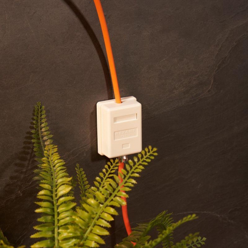 Розетка компьютерная 1-м ОП RJ45 кат.5E UTP неэкранир. бел. Rexant 03-0121 03-0121