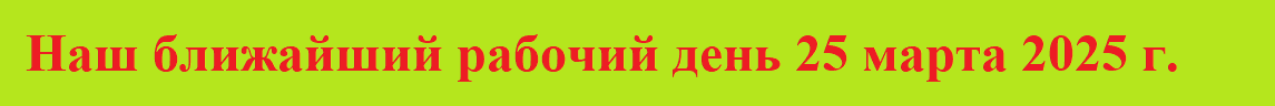Новый год 2024