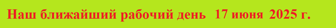 Новый год 2024