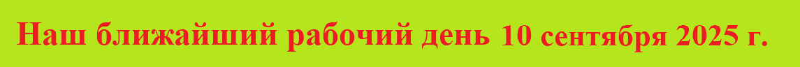Новый год 2024