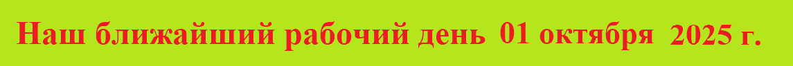 Новый год 2024