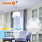 Лампа светодиодная LED Value LVCLP75 10SW/865 10Вт шар матовая E14 230В 10х1 RU OSRAM 4058075579774