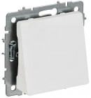 Вывод кабеля BRITE МВ10-БрАБ механизм арктич. бел. IEK BR-VK10-0-K91