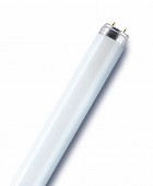 Лампа OSRAM L 36W/640 36Вт T8 4000К G13 4008321959713