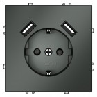 Розетка 1-м СП S70 16А с USB A+A с заземл. защ. шторки механизм титан Voltum VLS040406