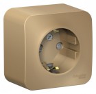 Розетка 1-м ОП Blanca 16А IP20 250В с заземл. защ. шторки с изолир. пластиной титан SE BLNRA011114