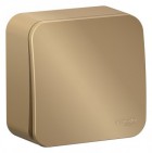 Выключатель 1-кл. ОП Blanca 10А IP20 (сх. 1) 250В с изолир. пластиной титан SE BLNVA101014