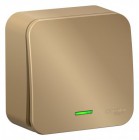 Выключатель 1-кл. ОП Blanca 10А IP20 (сх. 1) 250В с подсветкой с изолир. пластиной титан SE BLNVA101114