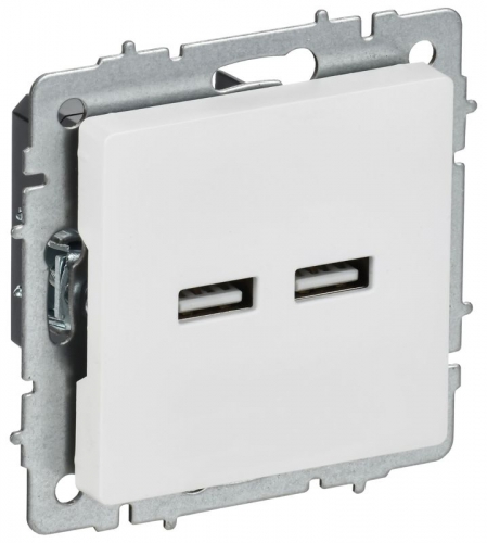 Розетка BRITE РЮ10-1-БрАБ USB A+A 3.1А механизм арктич. бел. IEK BR-U21-D31-K91 BR-U21-D31-K91