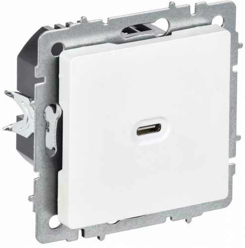 Розетка СП BRITE РЮ12-1-БрАБ USB C 65Вт высокоскор. заряд. арктич. бел. IEK BR-U13-065-K91 BR-U13-065-K91