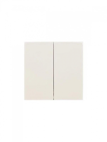 Выключатель 2-кл. СП ZIMA IP20 10А безвинт. зажим слон. кость LEZARD 704-9088-101QC 704-9088-101QC