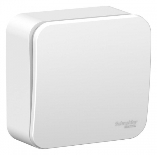 Выключатель 1-кл. ОП Blanca 6А IP20 (сх. 1) 250В с изолир. пластиной бел. SE BLNVA061011 BLNVA061011