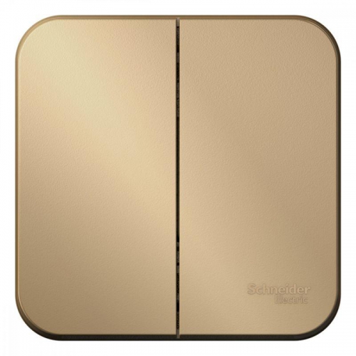 Выключатель 2-кл. ОП Blanca 10А IP20 (сх. 5) 250В с изолир. пластиной титан SE BLNVA105014 BLNVA105014