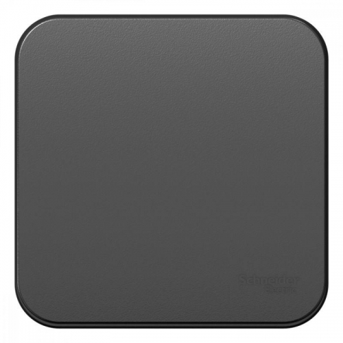 Выключатель 1-кл. ОП Blanca 10А IP20 (сх. 1) 250В с изолир. пластиной антрацит SE BLNVA101016 BLNVA101016