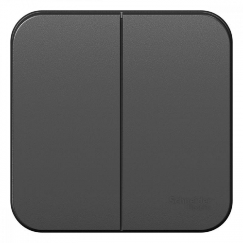 Выключатель 2-кл. ОП Blanca 10А IP20 (сх. 5) 250В с изолир. пластиной антрацит SE BLNVA105016 BLNVA105016