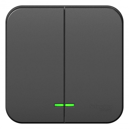 Выключатель 2-кл. ОП Blanca 10А IP20 (сх. 5) 250В с подсветкой с изолир. пластиной антрацит SE BLNVA105116 BLNVA105116