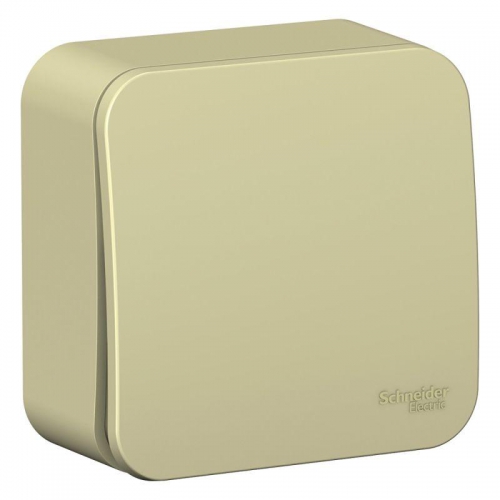 Выключатель 1-кл. ОП Blanca 10А IP20 (сх. 1) 250В с изолир. пластиной беж. SE BLNVA101017 BLNVA101017