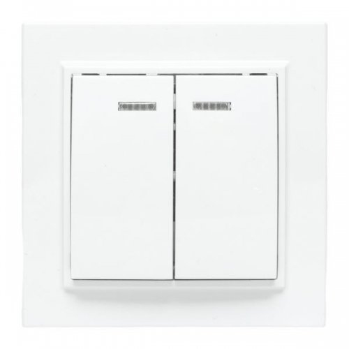 Выключатель 2-кл. СП Минск 10А IP20 с индикатором бел. Basic EKF ERV10-123-10 ERV10-123-10