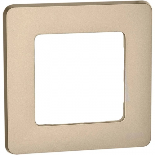 Рамка 1-м Inspiria шампань Leg 673938 673938