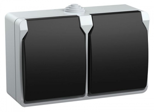 Розетка 2-м ОП Форс РСб22-3-ФСр с защ. крышкой с заземл. IP54 ИЭК ERS22-K03-16-54-DC ERS22-K03-16-54-DC