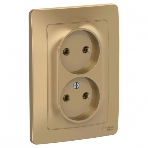 Розетка 2-м СП Blanca 16А IP20 250В без заземл. без защ. шторок титан SE BLNRS000024 BLNRS000024