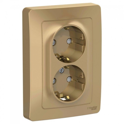 Розетка 2-м СП Blanca 16А IP20 250В с заземл. защ. шторки титан SE BLNRS001124 BLNRS001124