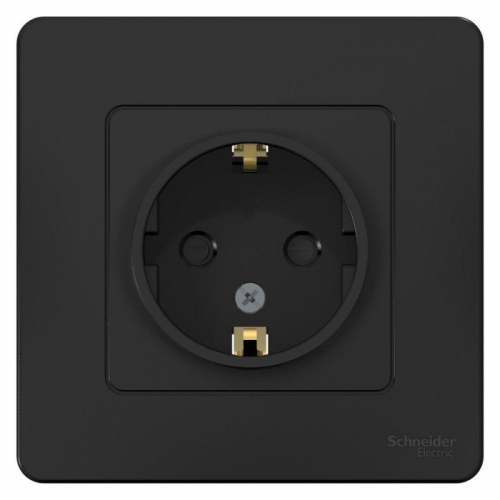 Розетка 1-м СП Blanca 16А IP20 250В с заземл. защ. шторки антрацит SE BLNRS001116 BLNRS001116