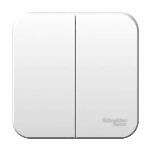 Выключатель 2-кл. ОП Blanca 6А IP20 (сх. 5) 250В с изолир. пластиной бел. SE BLNVA065011 BLNVA065011