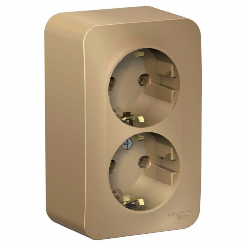 Розетка 2-м ОП Blanca 16А IP20 250В с заземл. без защ. шторок с изолир. пластиной титан SE BLNRA010214 BLNRA010214