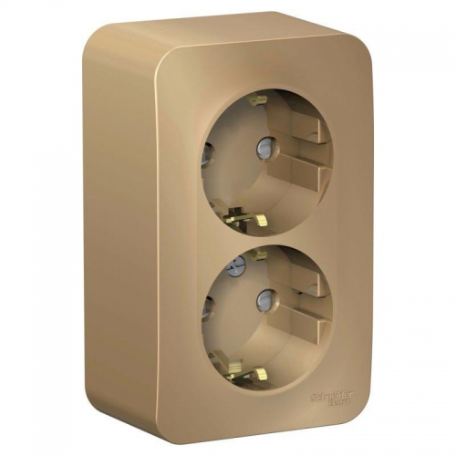 Розетка 2-м ОП Blanca 16А IP20 250В с заземл. защ. шторки с изолир. пластиной титан SE BLNRA011214 BLNRA011214