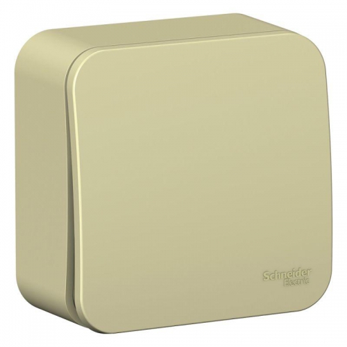 Переключатель проходной 1-кл. ОП Blanca 10А IP20 (сх. 6) 250В с изолир. пластиной беж. SE BLNVA106017 BLNVA106017