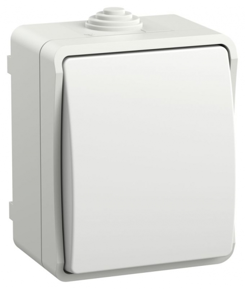 Выключатель проходной 1-кл. ОП Форс IP54 ВС20-1-0-ФБ бел. IEK EVS10-K01-10-54-DC EVS10-K01-10-54-DC