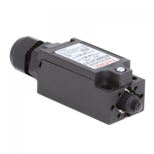 Выключатель концевой с двумя нормально закрытыми контактами (NC+NC) исполнение с кнопкой DKC R5MC4131 R5MC4131