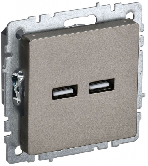 Розетка BRITE USB A+A 3.1А РЮ10-1-БрШ шампань IEK BR-U21-D31-K37 BR-U21-D31-K37