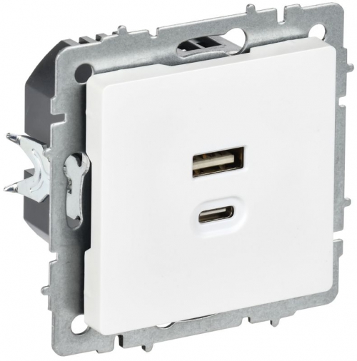 Розетка СП BRITE РЮ11-2-БрАБ USB A+C 45Вт высокоскор. заряд. арктич. бел. IEK BR-U22-045-K91 BR-U22-045-K91