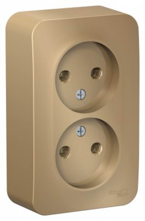 Розетка 2-м ОП Blanca 16А IP20 250В без заземл. без защ. шторок с изолир. пластиной титан SE BLNRA000214 BLNRA000214