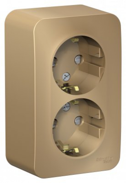 Розетка 2-м ОП Blanca 16А IP20 250В с заземл. защ. шторки с изолир. пластиной титан SE BLNRA011214 BLNRA011214