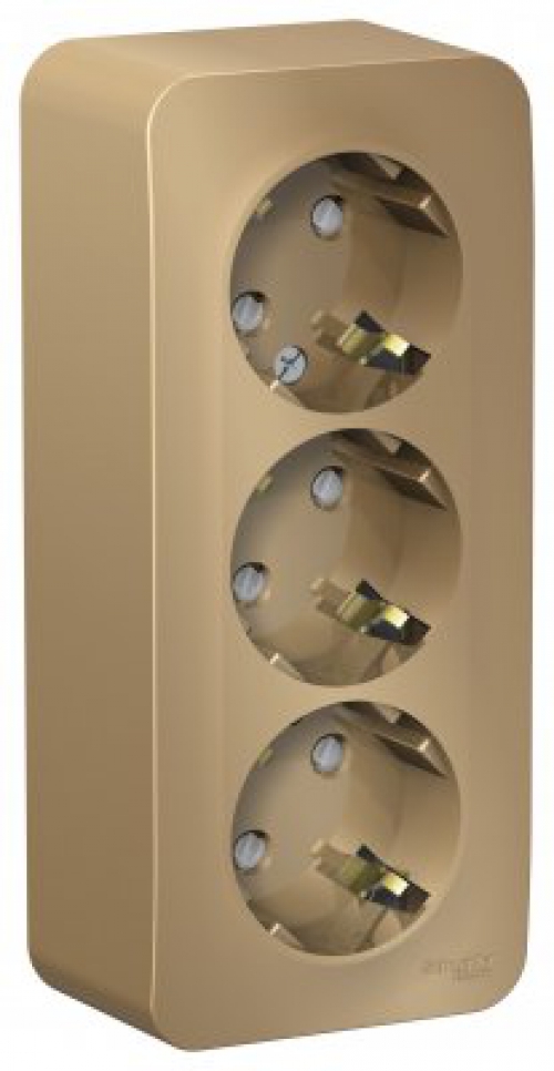 Розетка 3-м ОП Blanca 16А IP20 250В с заземл. защ. шторки с изолир. пластиной титан SE BLNRA011314 BLNRA011314