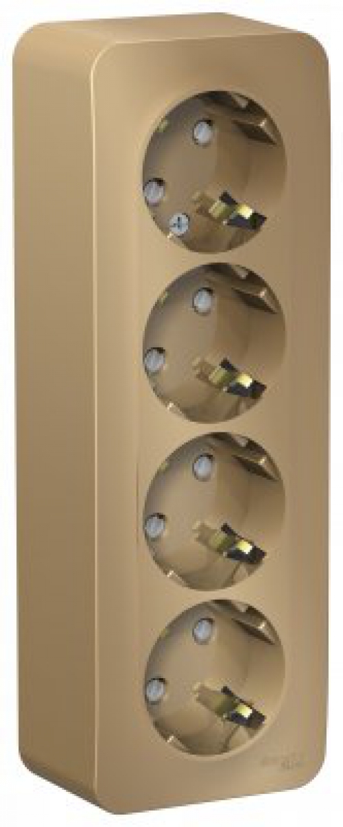 Розетка 4-м ОП Blanca 16А IP20 250В с заземл. защ. шторки с изолир. пластиной титан SE BLNRA011414 BLNRA011414