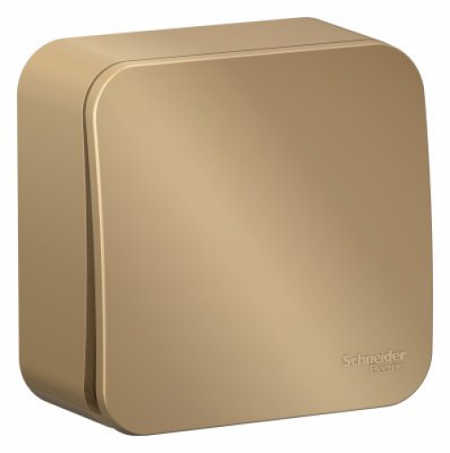 Выключатель 1-кл. ОП Blanca 10А IP20 (сх. 1) 250В с изолир. пластиной титан SE BLNVA101014 BLNVA101014