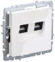 Розетка компьютерная двойная СП RJ45 кат.5E BRITE РК10-2-БрБ бел. IEK BR-K20-1-K01 BR-K20-1-K01